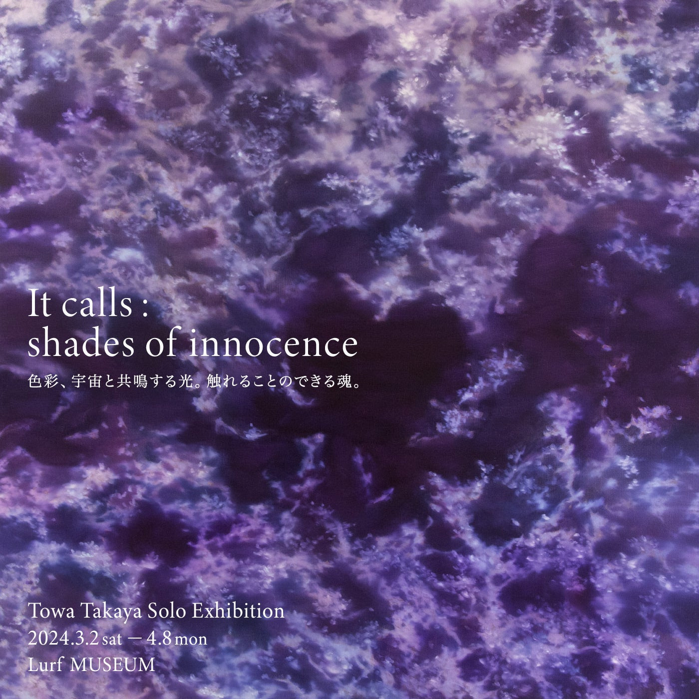 アーティスト・高屋永遠 個展「It calls : shades of innocence